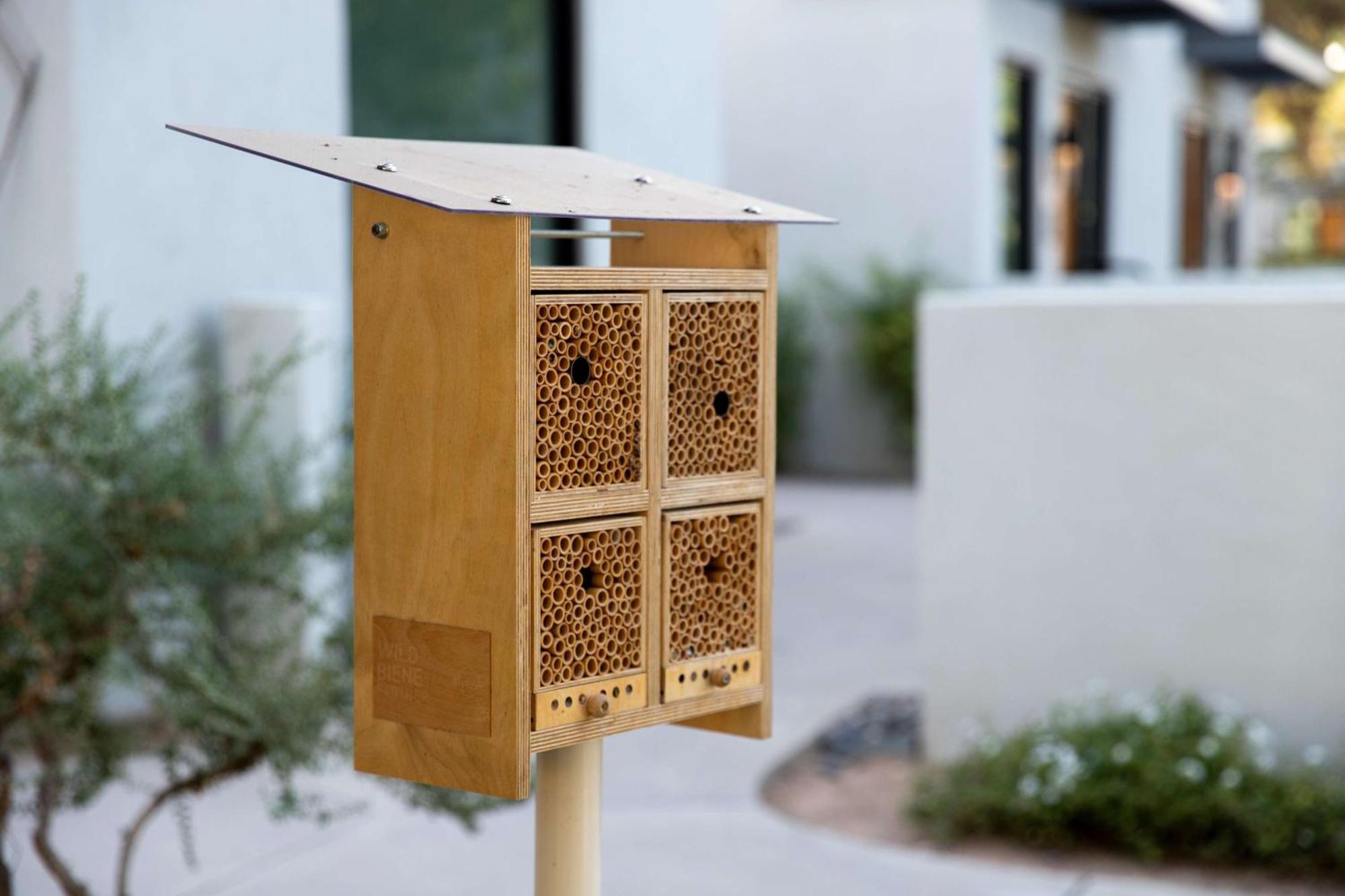 Andaz Scottsdale Resort & Bungalows Eksteriør billede
